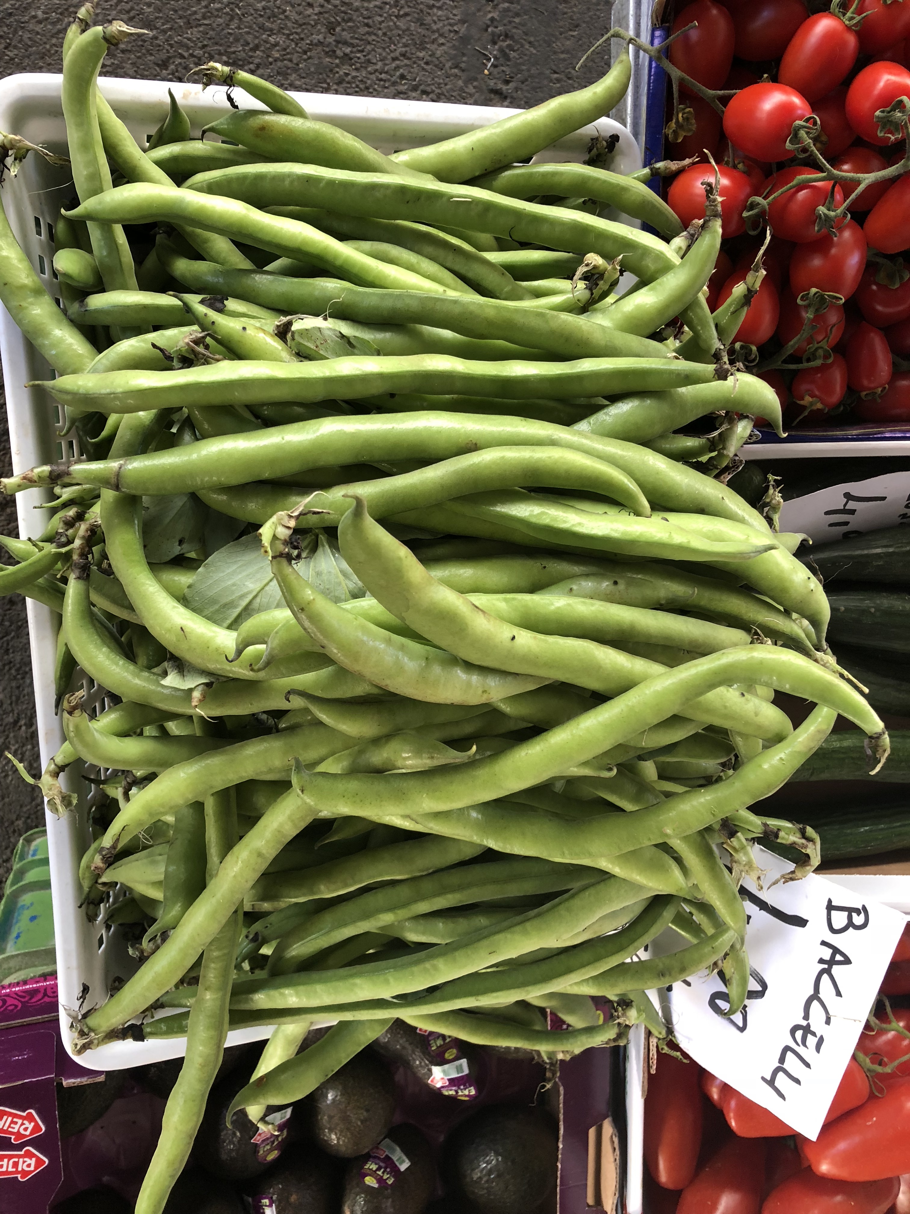 +9vmeFf2TnO4fIRMC99JsA