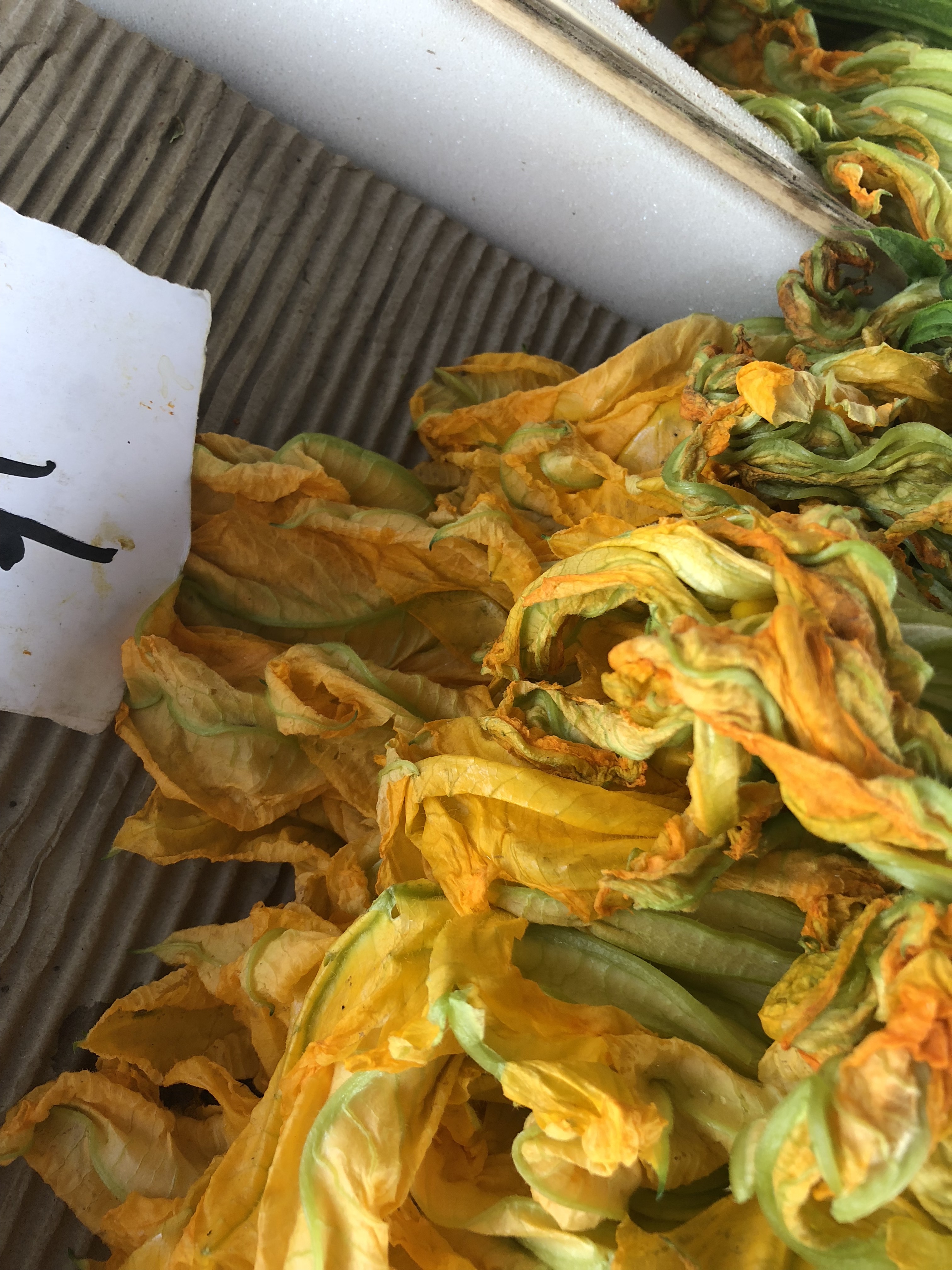 ELkOPNkUTBa8U2tq6D22XQ