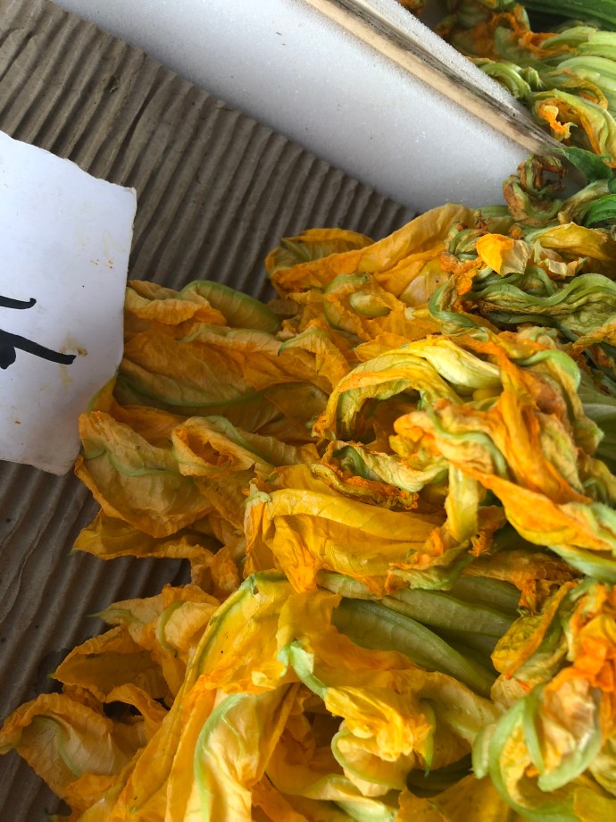 ELkOPNkUTBa8U2tq6D22XQ