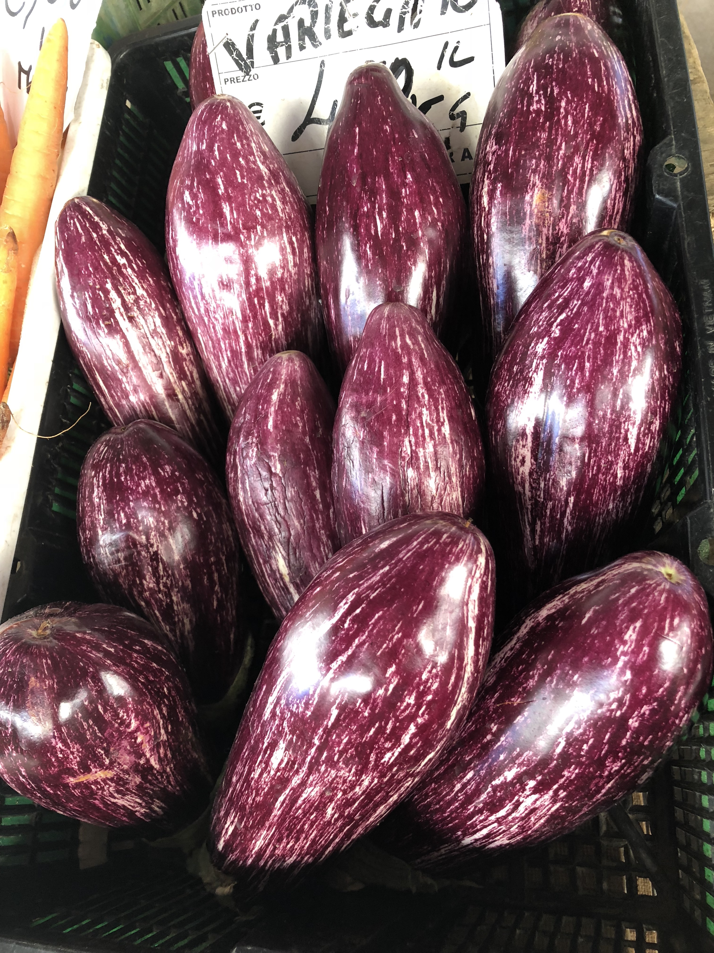 t5Xdioo5S8qIqk5tmHIcNQ